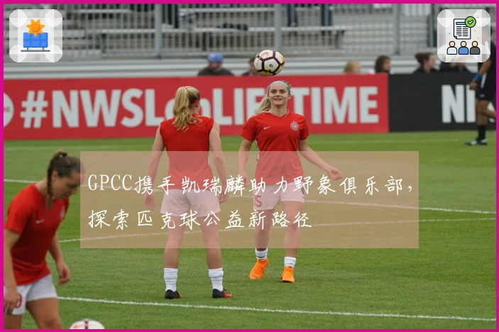 GPCC携手凯瑞麟助力野象俱乐部，探索匹克球公益新路径
