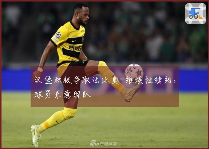 汉堡积极争取法比奥-维埃拉续约，球员乐意留队